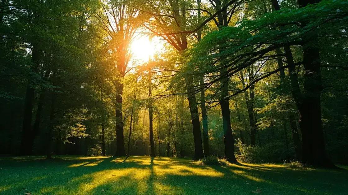 relações entre proteção angelical e energias positivas relações entre proteção angelical e energias positivas