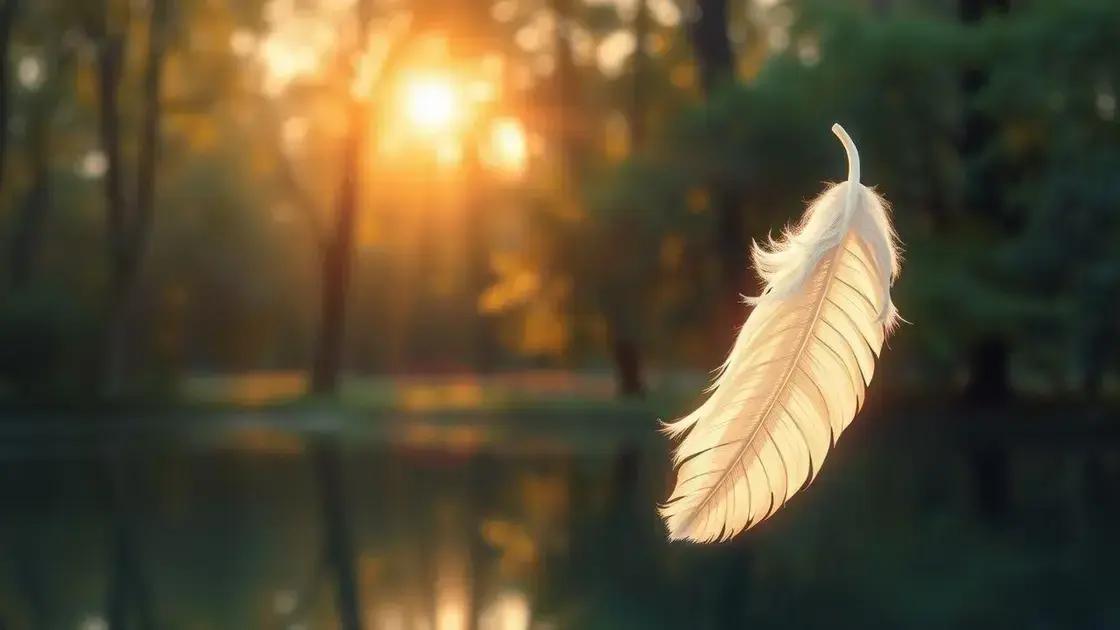 significados comuns das mensagens angelicais significados comuns das mensagens angelicais
